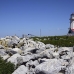 lighthouse_island_seal_machias_h_3040_can1689.jpg